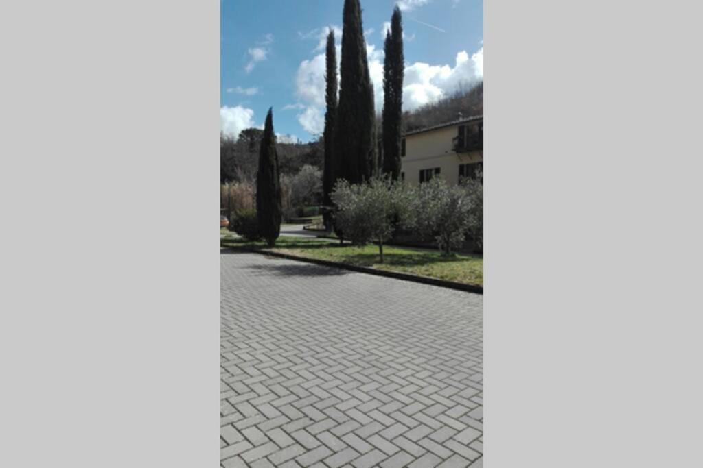 Casazappa - In Centro A Piedi, Parcheggio E Giardino Privato Lägenhet Siena Exteriör bild